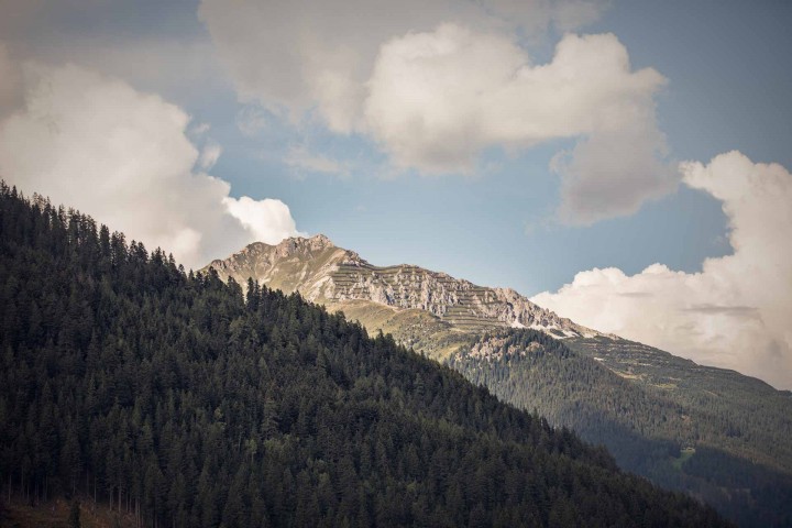 Aussicht auf Berge und Wald mit wolkigem Himmel