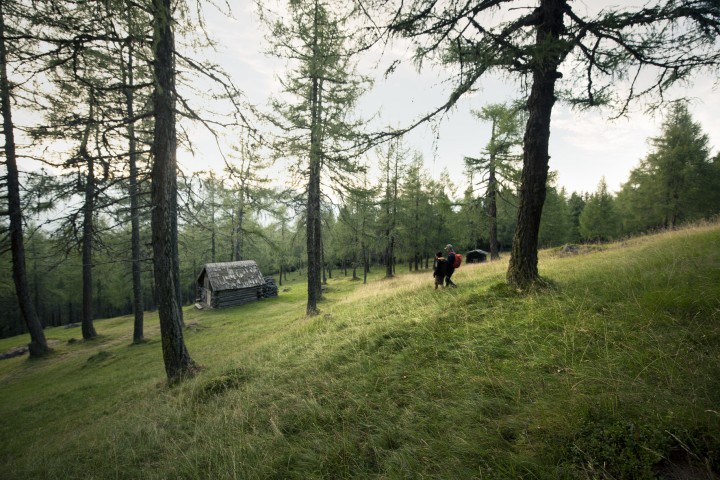 Offene Küche und Wohnbereich in einem modernen Apartment, hell und einladend, mit modernen Möbeln und stilvollen Akzenten.