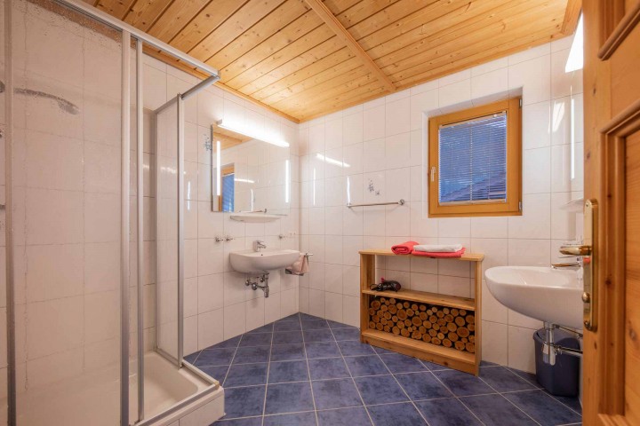 Modern daylight bathroom with shower, mirror and two washbasins