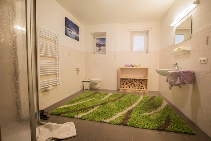 Bright bathroom with fluffy carpet, shower, WC, washbasin and window