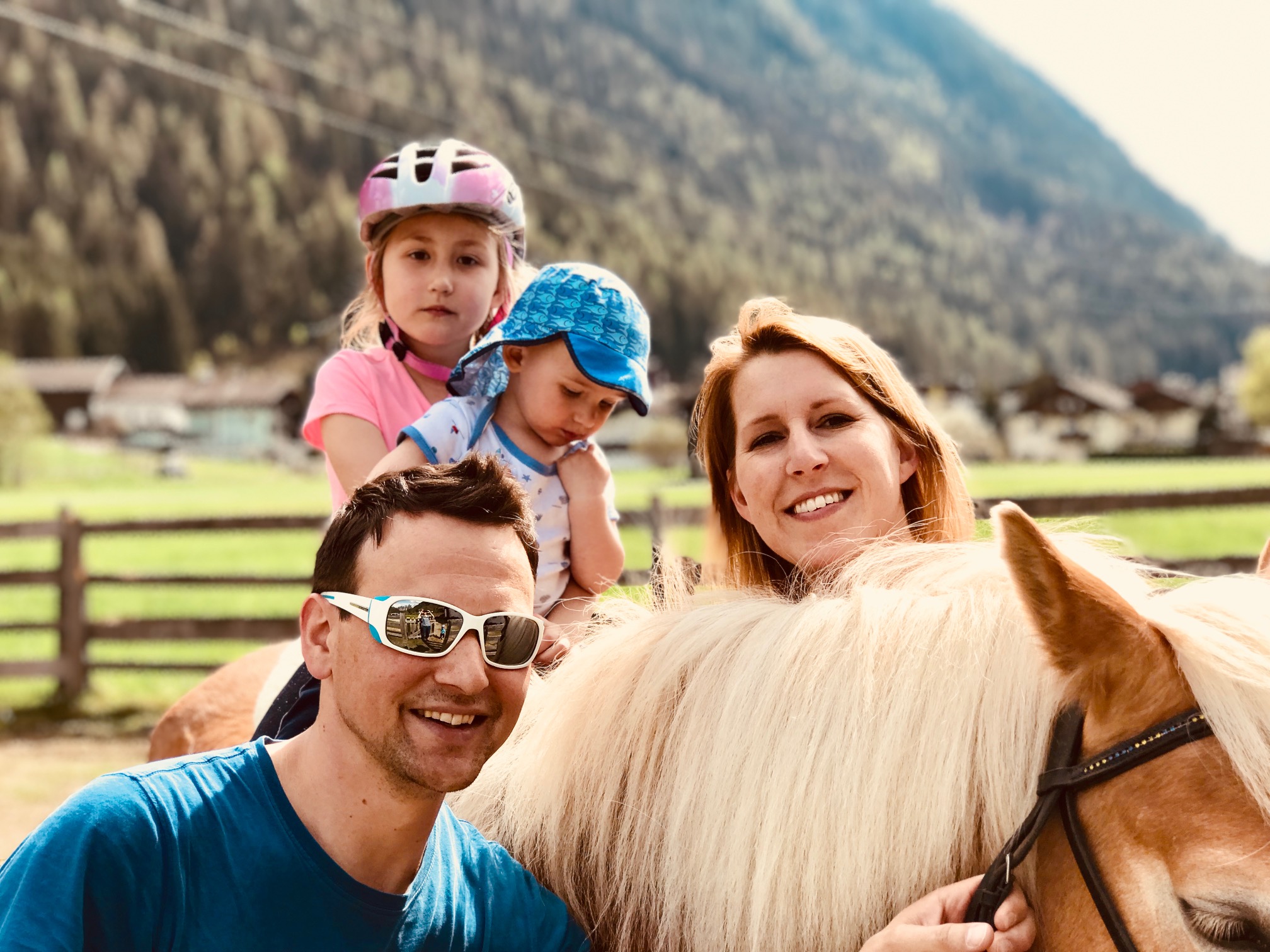 Luftaufnahme eines schneebedeckten Waldes, der in der Wintersonne glitzert und eine friedliche, weiße Landschaft zeigt