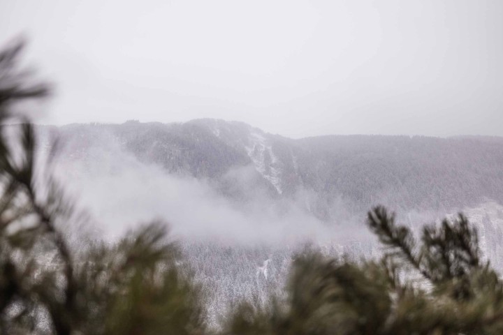 Aussicht auf Berge und Wald mit wolkigem Himmel